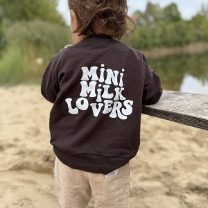 Retro Sweater in Chocolate Brown